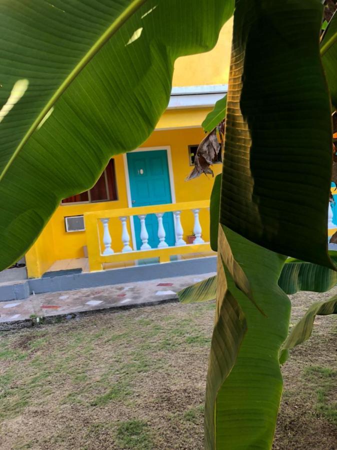 Sunshine Hotel Petite Île du Maïs Extérieur photo